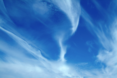 Image Concealment Films - MH Studios